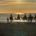 Full Tanger complete tour + camel ride + food + transport - Who Is This Tour Best For?