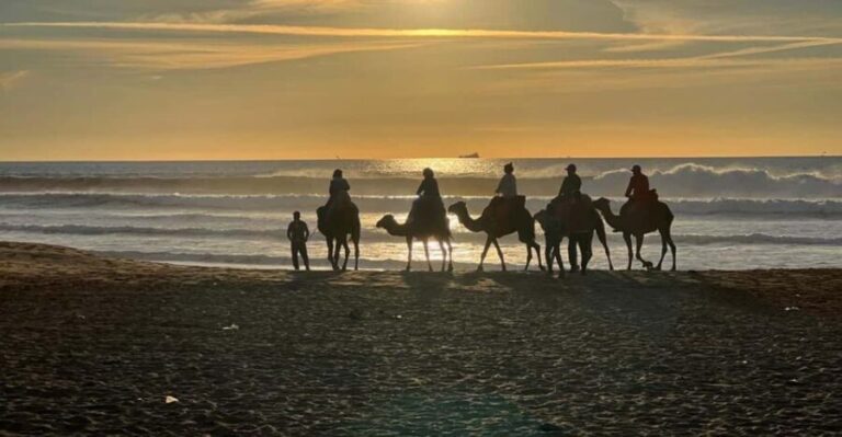 Full Tanger complete tour + camel ride + food + transport - Who Is This Tour Best For?