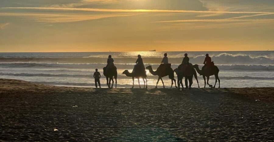 Full Tanger complete tour + camel ride + food + transport - Who Is This Tour Best For?