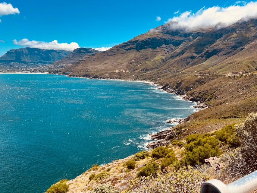Fully Day Cape Of Good Hope, Penguins, Bo Kaap , Seals Tour - What You Can Expect from the Tour