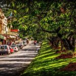 Fully Inclusive Blue Mountains Private Tour inc Scenic World & Featherdale Entry - What Makes This Tour Stand Out?