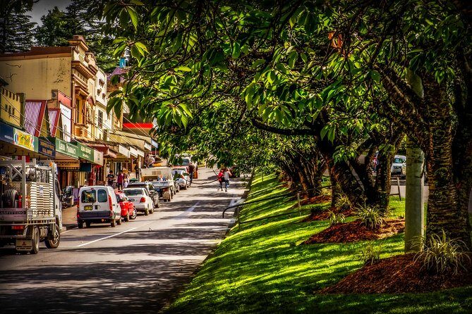 Fully Inclusive Blue Mountains Private Tour inc Scenic World & Featherdale Entry - What Makes This Tour Stand Out?