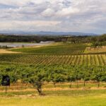 Fully Private and Customisable Hunter Valley Wine Tour - What the Tour Includes and How It Feels