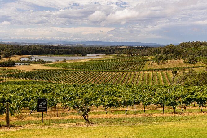 Fully Private and Customisable Hunter Valley Wine Tour - What the Tour Includes and How It Feels
