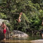 Fun, Falls and Forests Day Trip from Cairns - Why This Tour Offers Good Value