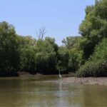 Funzi Island: Full-Day Funzi Tour with Boat & Seafood Lunch - Frequently Asked Questions