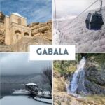 Gabala & Lavender Fields Group Guided tour - Authentic Traveler Insights