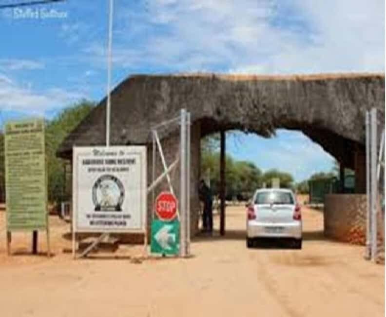 Game Drive and Gaborone City Tour - Exploring the Gaborone Game Reserve