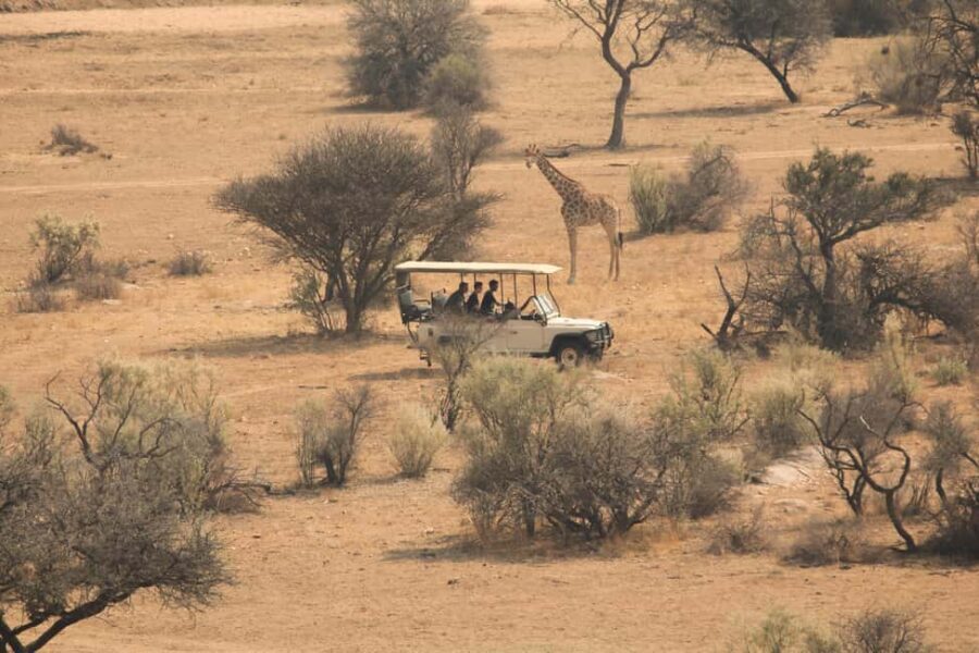 Game drive in Victoria Falls - Final Thoughts