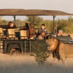 Game Drive Safari Victoria Falls - Frequently Asked Questions