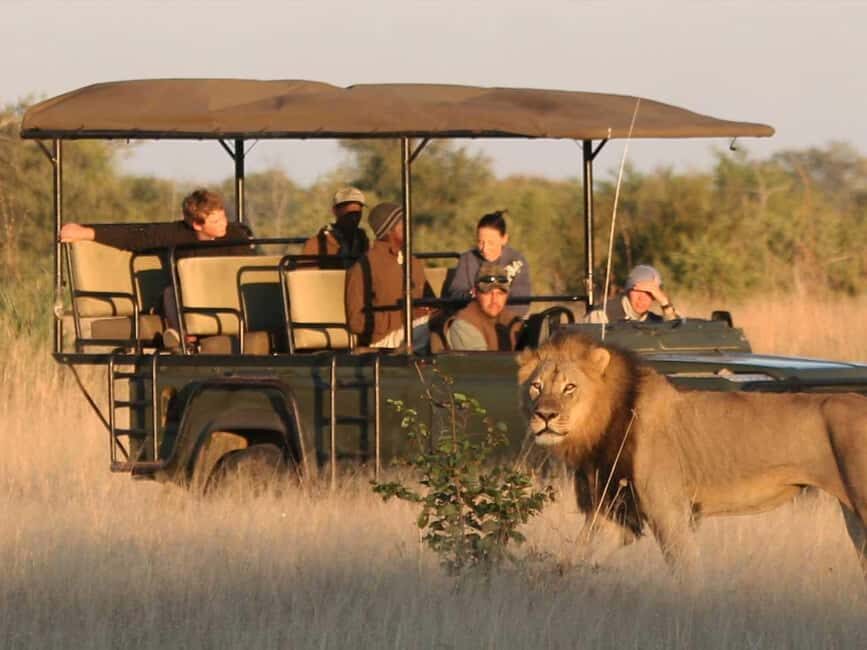 Game Drive Safari Victoria Falls - Frequently Asked Questions