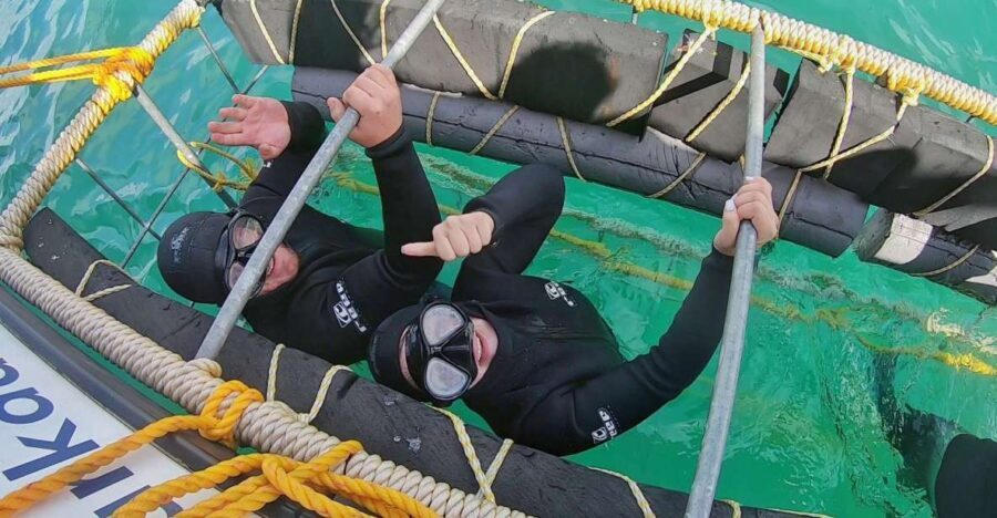 Gansbaai: Shark Cage Diving and Shark Viewing Boat Trip - Who Would Love This Tour?