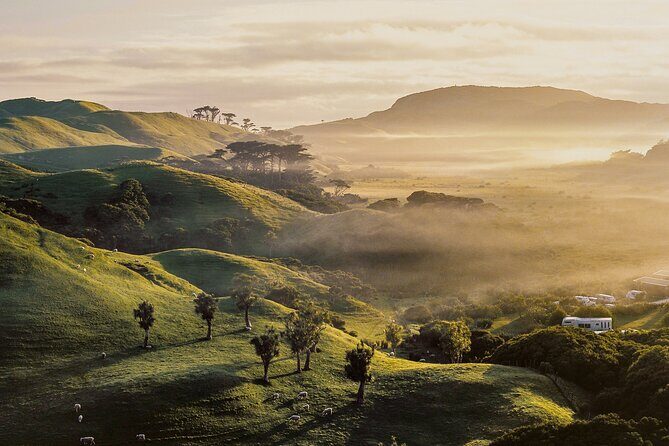 Geothermal & Nature Full Day Private Tour : Rotorua & Taupo - What Makes This Tour Stand Out?