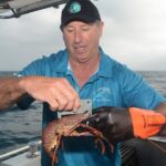 Geraldton Lobster Pot Pull - Who Will Love This Experience?
