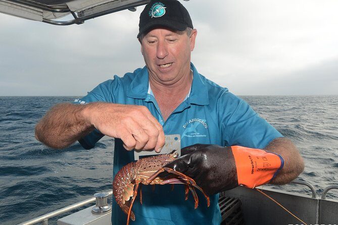 Geraldton Lobster Pot Pull - Who Will Love This Experience?