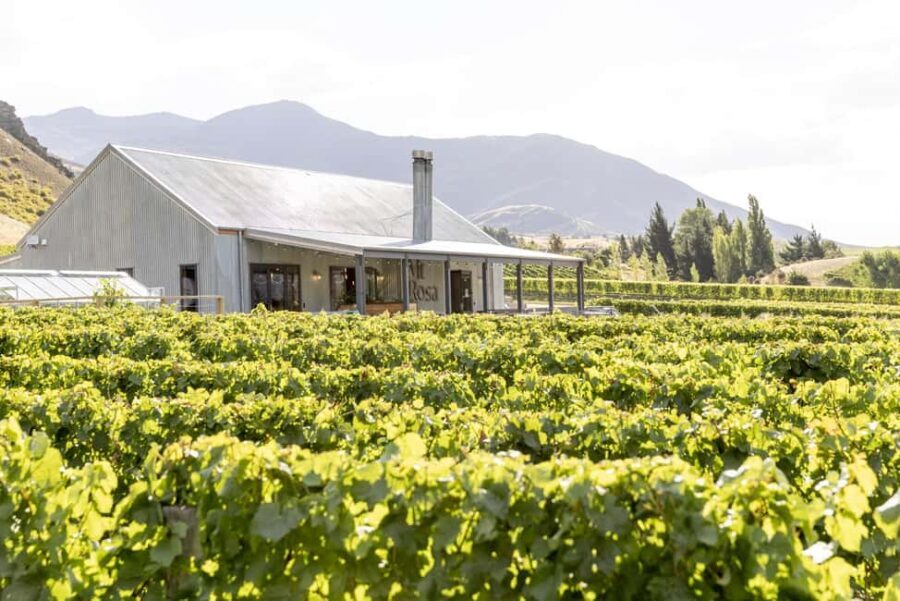 Gibbston: Mt Rosa Wine Tasting Experience - The View and Vibe