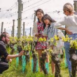 Gibbston Valley Wines - Winery Tour - What the Tour Involves