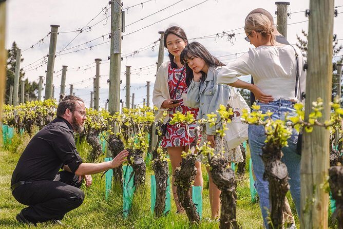 Gibbston Valley Wines - Winery Tour - What the Tour Involves