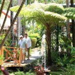 Ginger Factory and Nutworks Return Bus Transfer: Sunshine Coast - Nutworks and the Chocolate Factory