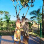 giraffe feeding - A Closer Look at the Itinerary