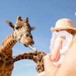 Giraffe Safari & a Day at Monarto Safari Park - Why This Tour Offers Great Value