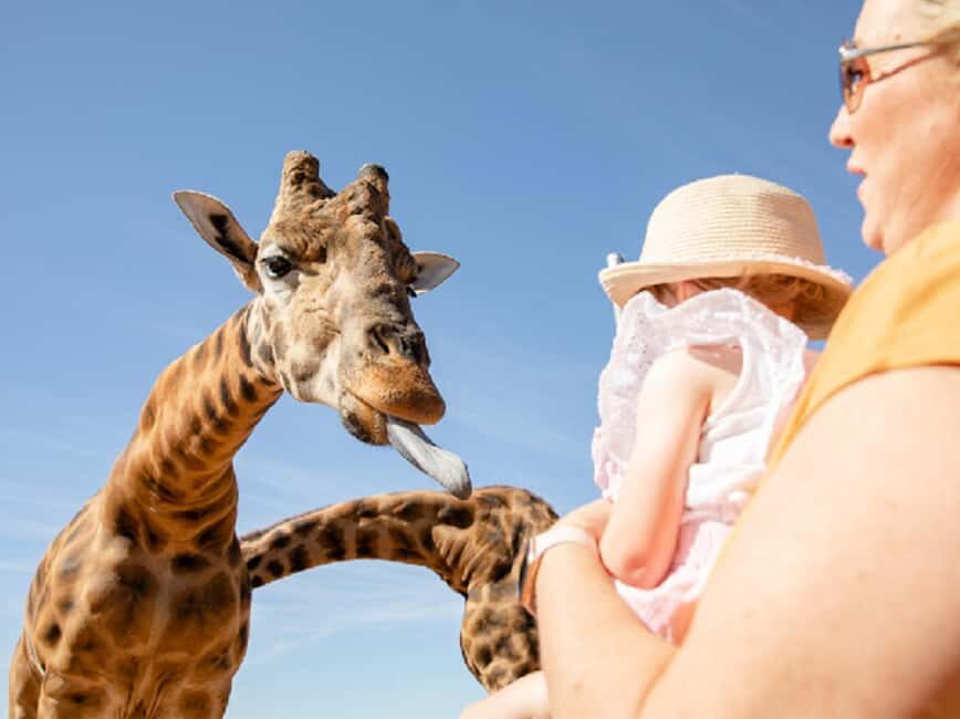 Giraffe Safari & a Day at Monarto Safari Park - Why This Tour Offers Great Value