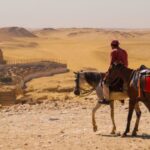 Giza: Arabian Horse Tour Around the Giza Pyramids - What to Expect on the Tour