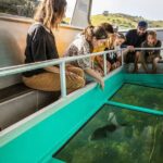 Glass Bottom Boat Tour - Who Will Love This Tour?