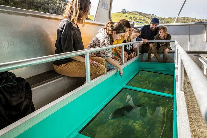 Glass Bottom Boat Tour - Who Will Love This Tour?