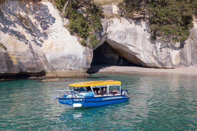 Glass Bottom Boat Whitianga Cathedral Cove Cruise - Final Thoughts