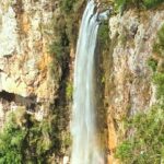 Glow Worms + Day/Night Rainforest & Waterfalls Experience - An In-Depth Look at the Tour Experience