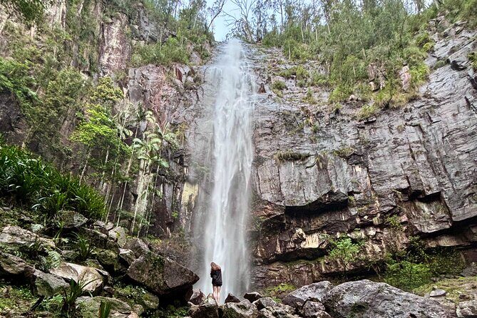 Glow-worms, Waterfalls & Rainforest Experience - Practical Details and Value