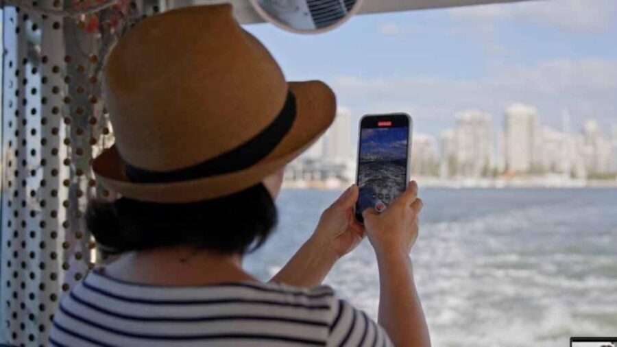 Gold Coast: Aquaduck City Tour and River Cruise - What to Expect During the Tour