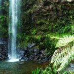 Gold Coast: Glow Worms Nocturnal Rainforest & Waterfall Walk - The Practicalities: What You Need to Know