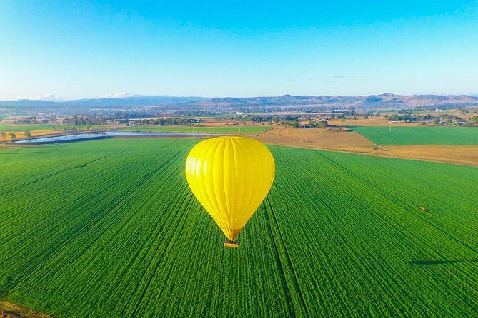 Gold Coast Hot Air Balloon + Winery Breakfast + Return Transfers - The Winery Breakfast and Tasting