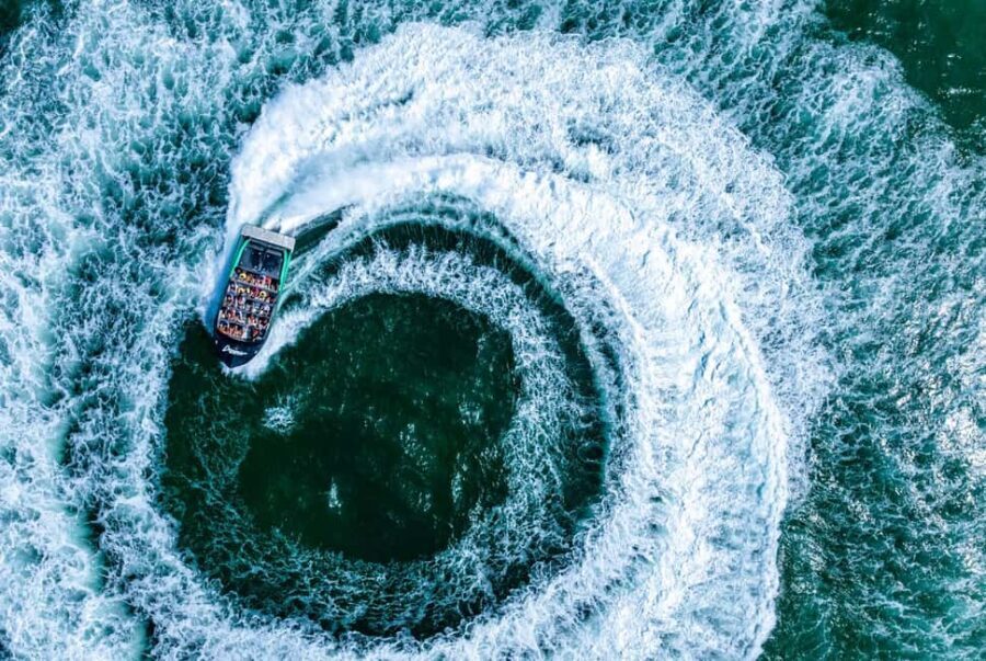 Gold Coast: Jet Boat Ride & Sea World Entry Ticket - Exploring Sea World: Marine Life, Shows, and Rides