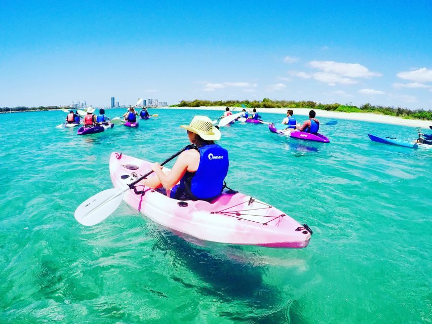 Gold Coast: Kayaking and Snorkeling Guided Tour - A Closer Look at the Experience