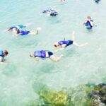 Gold Coast: Kayaking & Snorkelling Tour with Fish Feeding - The Itinerary in Detail