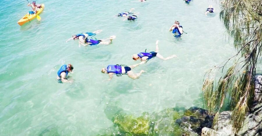 Gold Coast: Kayaking & Snorkelling Tour with Fish Feeding - The Itinerary in Detail