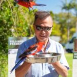 Gold Coast: Lamington Treetops, Wildlife and Vineyard Visit - Practical Details and Value