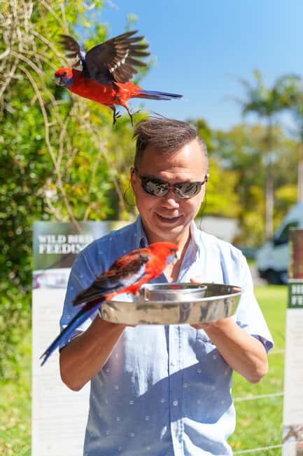 Gold Coast: Lamington Treetops, Wildlife and Vineyard Visit - Practical Details and Value