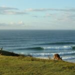 Gold Coast: Learn to Surf Experience with Lunch & Activities - The Itinerary Breakdown: What You Can Expect