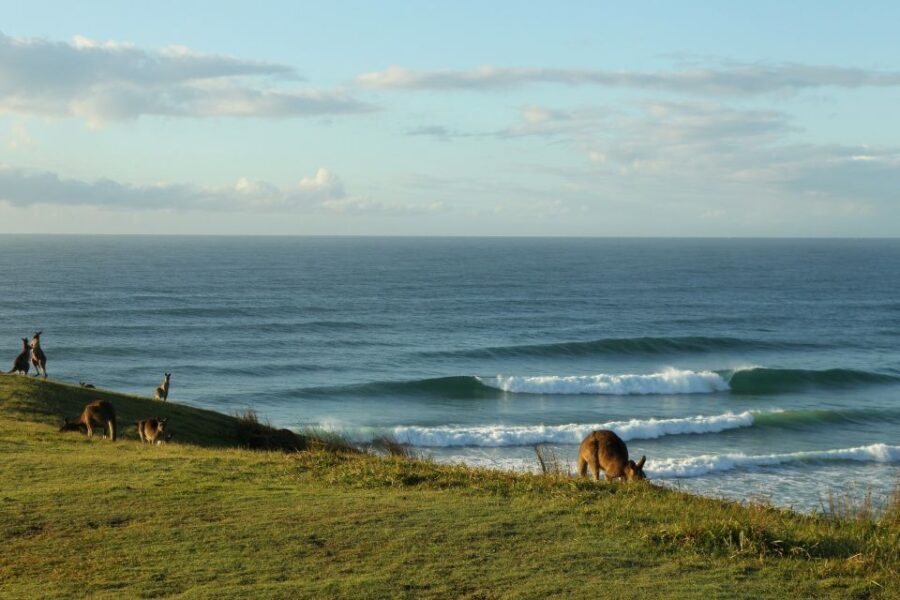 Gold Coast: Learn to Surf Experience with Lunch & Activities - The Itinerary Breakdown: What You Can Expect