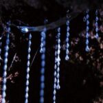 Gold Coast: Natural Bridge Glow Worm Night Tour - What Does the Experience Include?