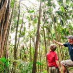 Gold Coast: Natural Bridge & Springbrook Waterfalls Tour - What to Expect From the Experience