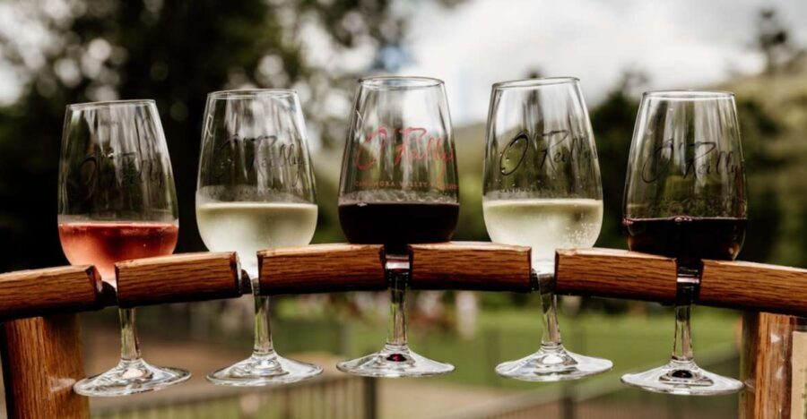 Gold Coast: Private Winery Tour in a New Luxury Vehicle - Who Would Love This Tour?