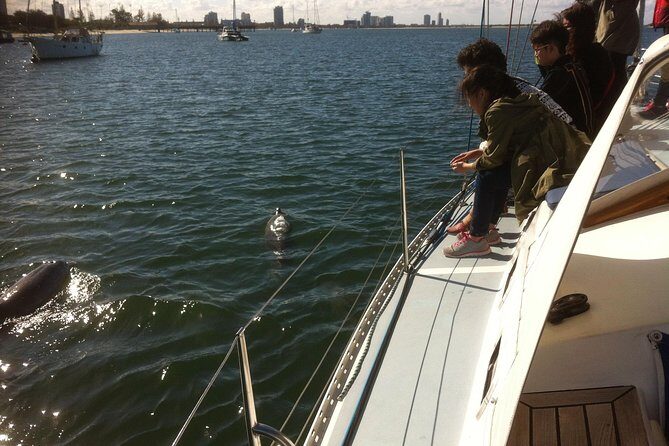 Gold Coast Sailing Cruise with sparkling wine & nibbles platter - Why This Tour Offers Good Value