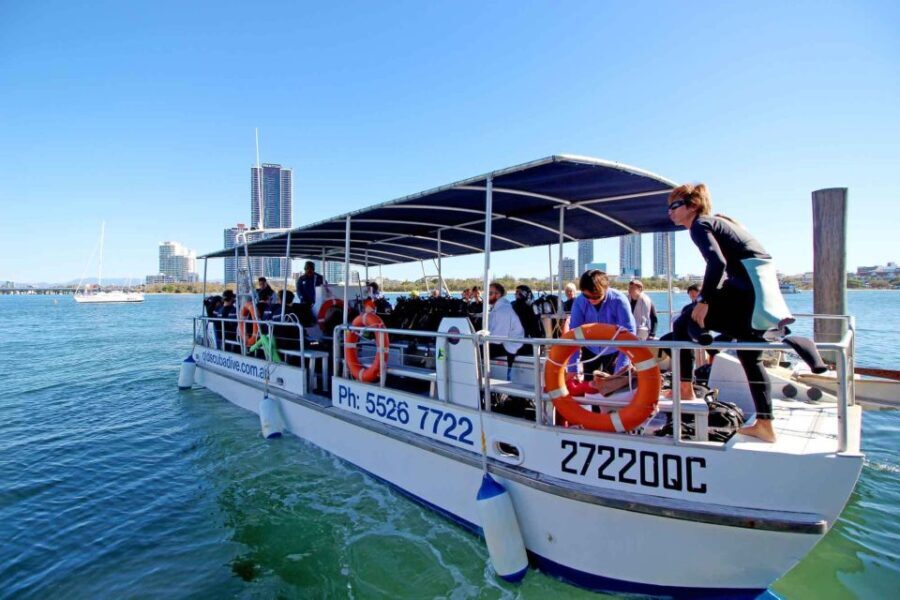 Gold Coast: Snorkelling in Wave Break Island - Is This Tour Worth the Price?
