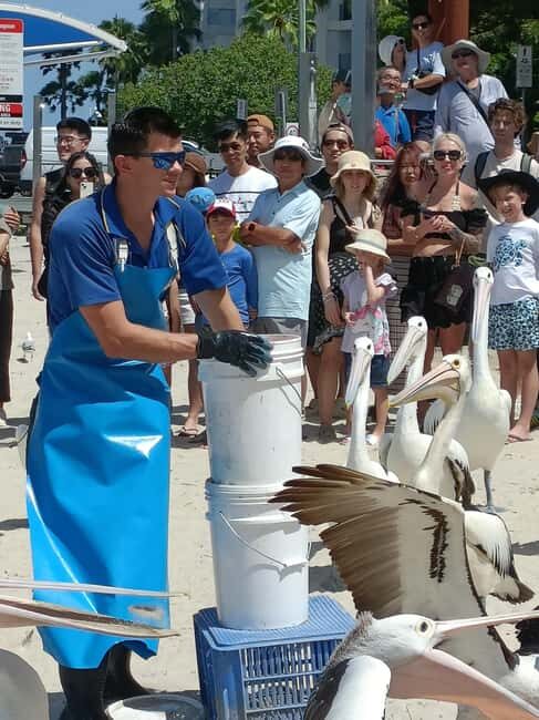 Gold Coast Surfers Paradise Private Tour from Brisbane - Practical Tips for Your Day