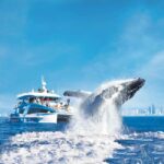Gold Coast: Whale Watching Cruise & Sea World Entry - Who Should Consider This Tour?